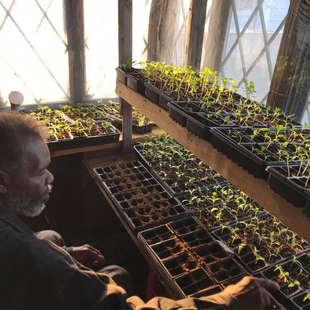 Uncle Ephraim gardening indoors
