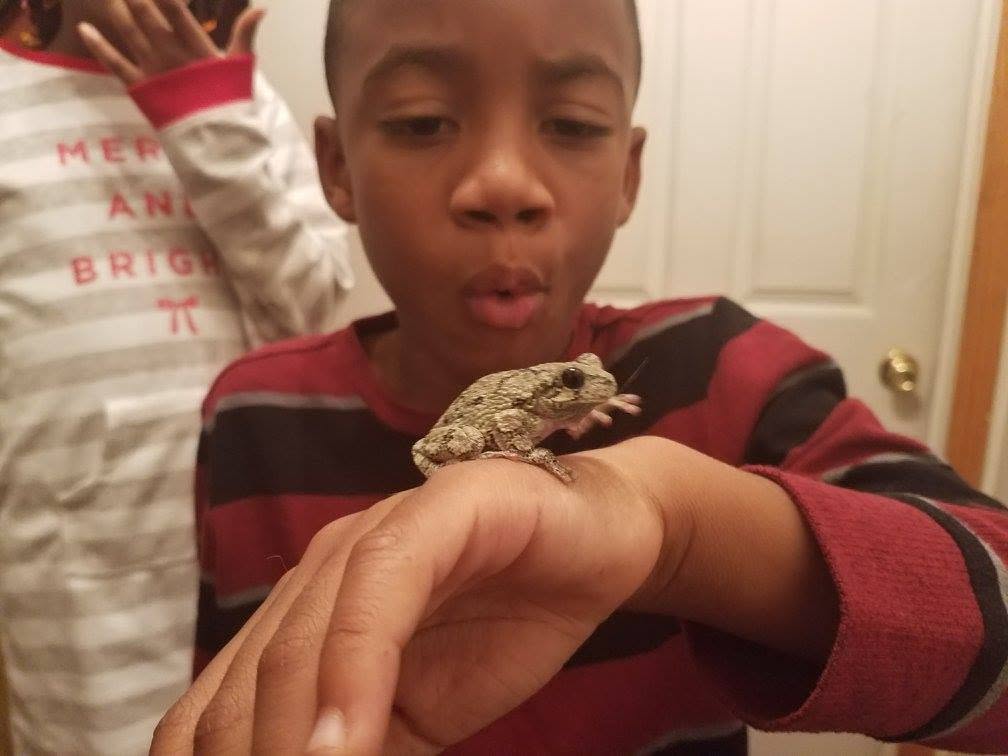 Jelani gazing in amazement at a small frog resting on his hand